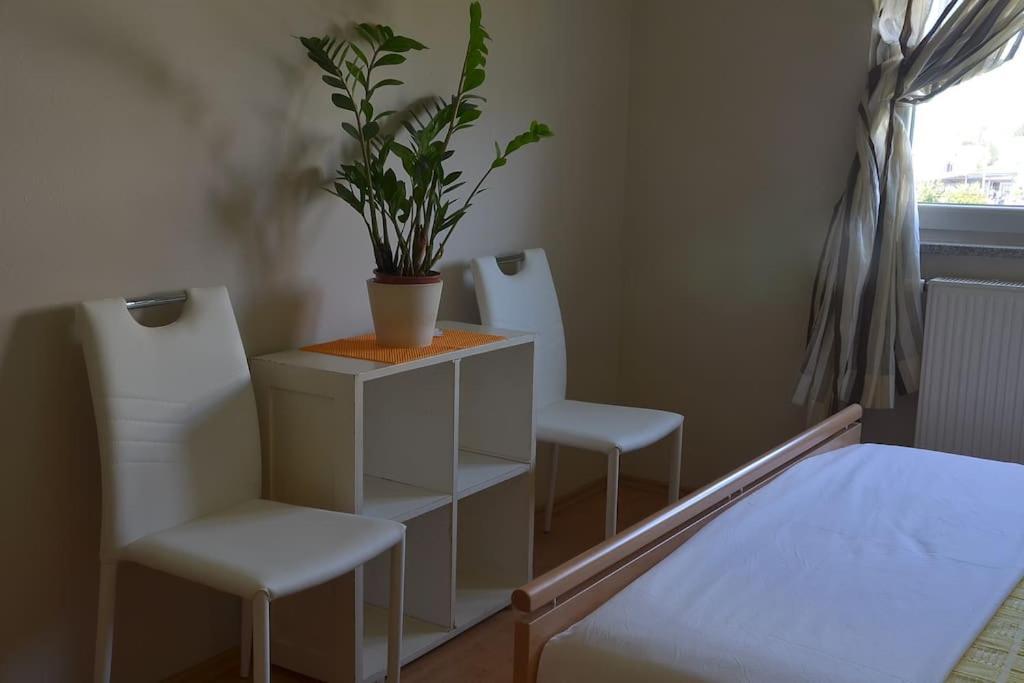 Apartman Ana Pula - Calm, Free Parking, Close To Center Kültér fotó